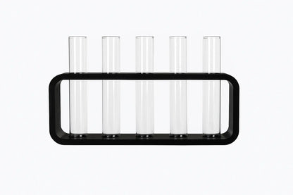 Moderne Zwarte Houder met 5 Glazen Vaasjes – Stijlvolle Decoratieve Set voor Stekjes, Bloemen en Droogbloemen HuubSolutions