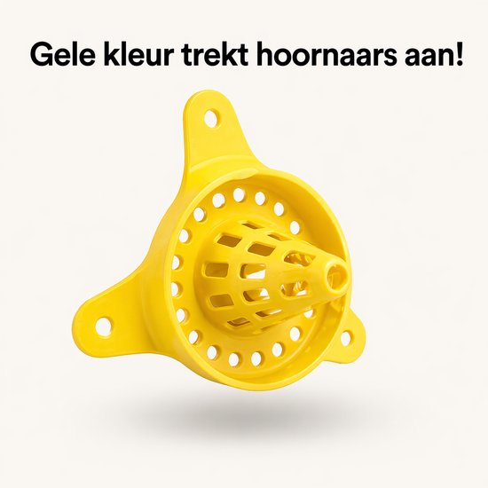 HuubSolutions gele Aziatische hoornaarval