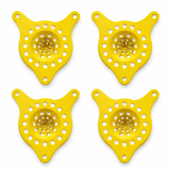 Aziatische hoornaarval set van 4