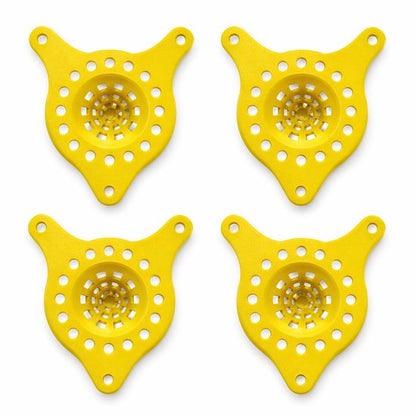 Aziatische hoornaarval set van 4